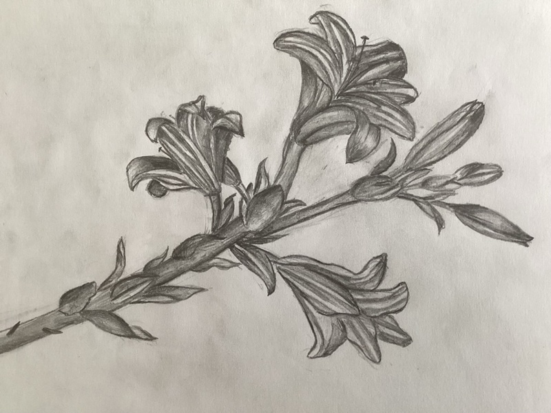 Schülerbild Raumgestaltung